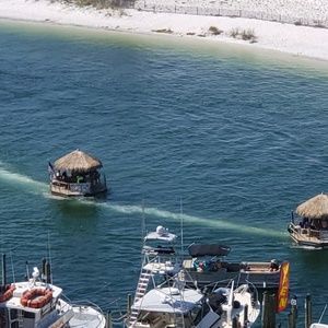 Meet your Posher, Itesha